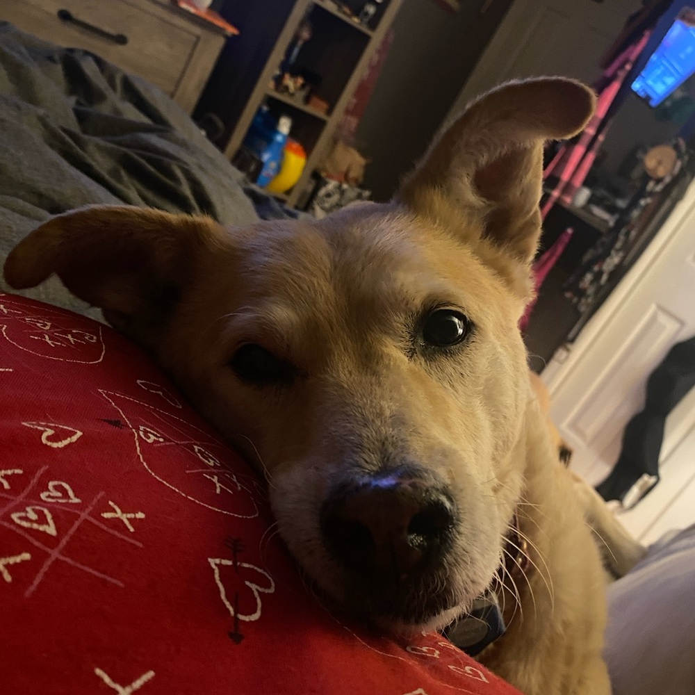 Meet your Posher, Jenn